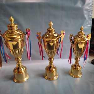 Piala Bahan Metal