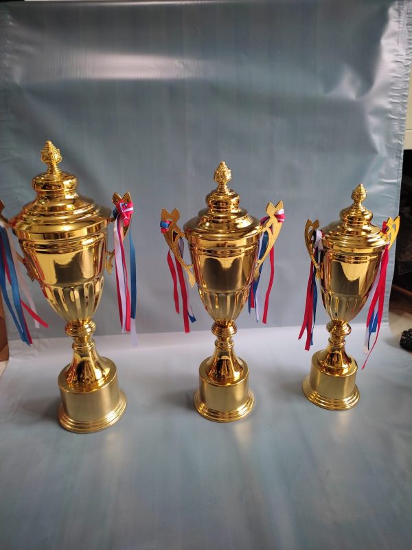 Piala Bahan Metal